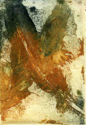 20110413074257-pluma_6x9cm_papel_19x28cm__30ejem001