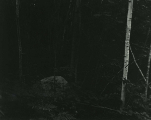 Alex_slade__forest_s_edge__naples__me__2007__toned_silver_gelatin_print__54_x_69_inches