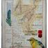 20110413114848-foreign_species__mixed_media