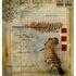 20110413115026-hoopoe_mixed_media_document