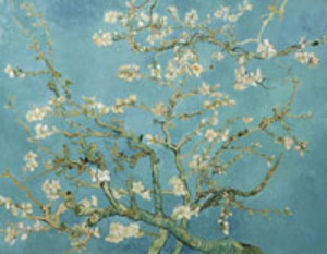 20110415064411-vincent_van_gogh__amandelbloesem__1890__van_gogh_museum_amsterdam__vincent_van_gogh_stichting_