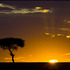 20110415135802-howley_kenyasunrise02