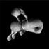 20110415135854-barrese_tainted_by_chaos
