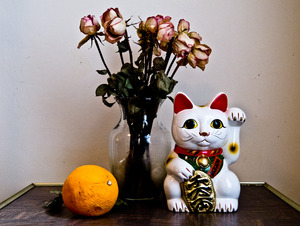 20111004145553-img_1208