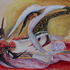 20110416004532-268_fallen_bride_30x22cm_board_propylene___2011