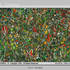 20110416082017-gorgy_greenchanging