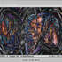 20110416082155-gorgy_cactusoftheheart