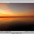 20110416085535-29_gorgy_jan5_2008