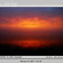20110416085721-31_gorgy_feb8_2005