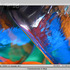 20110416085917-34_gorgy_translucenciesinblue