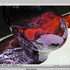 20110416090045-36_gorgy_redechoes
