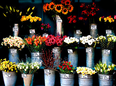 20110416140746-flowers_23