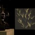 20110418084425-resize