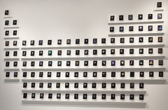 20110418085607-new_taxonomy_installation__an_unnatural_history