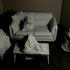 20110418113718-originals_good_this_one2010_094_copy