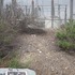 20110418134627-p1bsm
