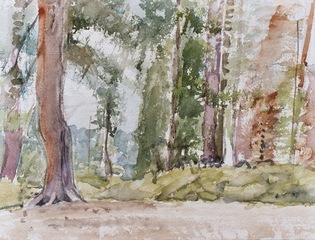 Clearing, Pahatsi Rd., by Eileen Downey, watercolor on paper, all rights reserved