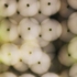 20110419135443-mercado-echoes_web