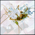 20110419140109-nest__2010__moline-kramer