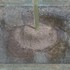 20110419154640-saguaro13x16