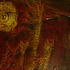 20110419190206-snakes_web
