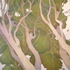 20110420002626-shaun_johnson_dryads