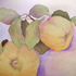 20110420002938-shaun_johnson_peaches