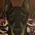 20110420003708-dscn3657