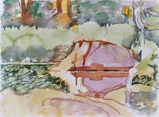 Rock, Flora Lake, by Eileen Downey - all rights reserved