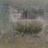 20110420085314-shrinegarden