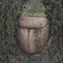 20110420085639-stoneurn11x14