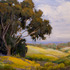 20110420155725-gaviota-springtime-kwinters-b