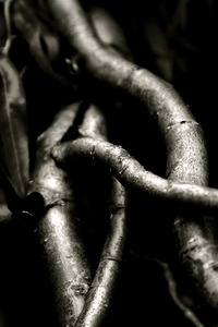 20110602195306-img_0622