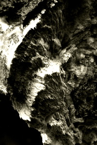 20110421085316-limbs_6