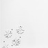 20110421103844-tuttle_six_nails