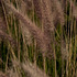 20110421103922-breezy