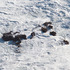 20110421104017-frothyrocks