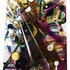 20110421144044-fiore_2011web_firework_drawing_65