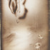 20110421145740-jbb1010_large