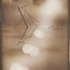20110421145939-jbb1012_large