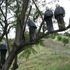 20110426225840-hitch_install_5