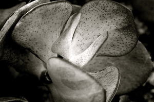 20110605165113-img_9295