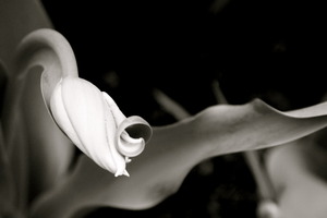 20110602195618-img_0107