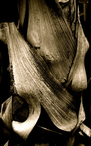 20110422093430-palm