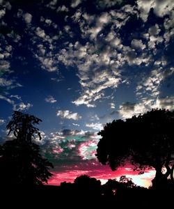 20110422112153-savannah_encore
