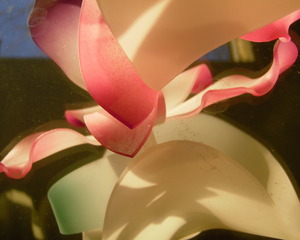 20110422155420-abstract_1083
