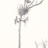 20110422182607-untitled__nest_