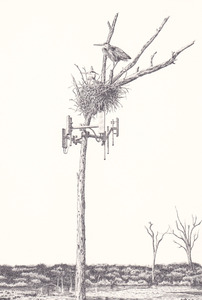 20110422182607-untitled__nest_