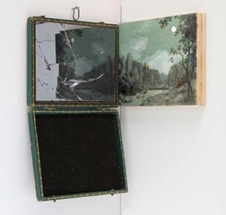 Broken Claude Glass,Ellen Harvey