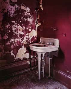 20110423072121-_red_sink